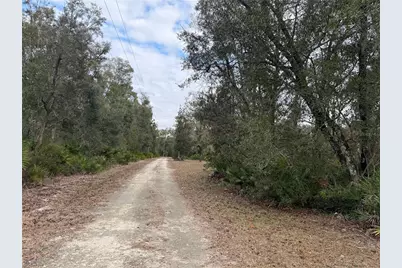 347 NE 544th Street, Old Town, FL 32680 - Photo 30