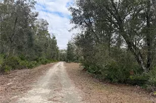 347 NE 544th St, Old Town, FL 32680 - Photo 30