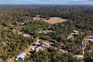 347 NE 544th St, Old Town, FL 32680 - Photo 36