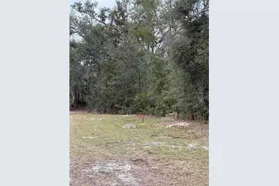 347 NE 544th Street, Old Town, FL 32680 - Photo 32