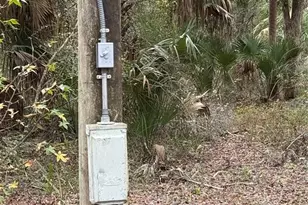 347 NE 544th St, Old Town, FL 32680 - Photo 34