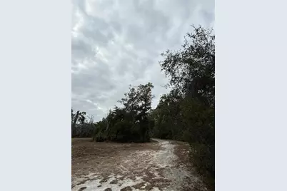 347 NE 544th Street, Old Town, FL 32680 - Photo 28