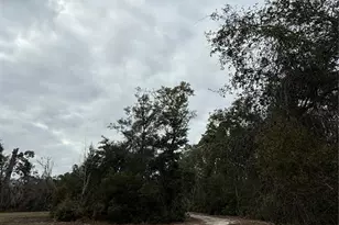 347 NE 544th St, Old Town, FL 32680 - Photo 28