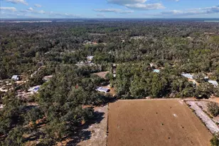 347 NE 544th St, Old Town, FL 32680 - Photo 38