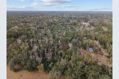 1254 NE 143rd Avenue, Old Town, FL 32680 - Photo 10