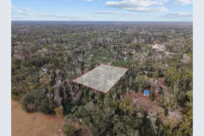 1254 NE 143rd Avenue, Old Town, FL 32680 - Photo 6