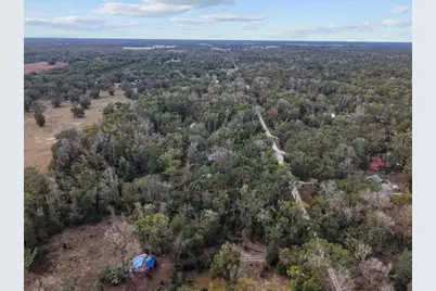 1254 NE 143rd Avenue, Old Town, FL 32680 - Photo 8