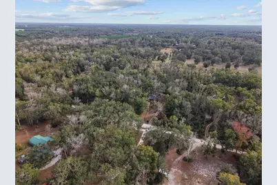 1254 NE 143rd Avenue, Old Town, FL 32680 - Photo 20