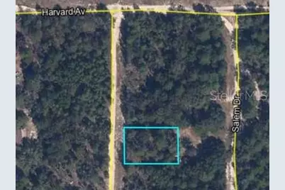 00 Lehigh Drive, Keystone Heights, FL 32656 - Photo 1