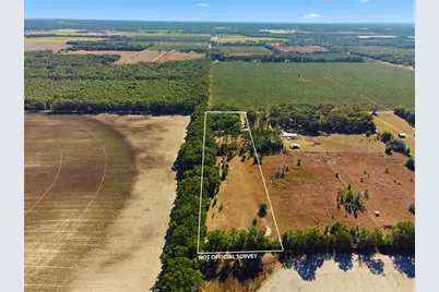 4506 NW 10th Street, Bell, FL 32619 - Photo 4