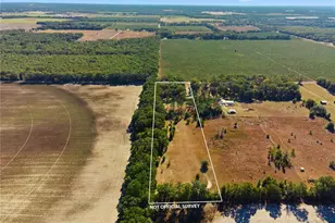 4506 NW 10th St, Bell, FL 32619 - Photo 4