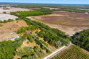 4506 NW 10th St, Bell, FL 32619 - Photo 2