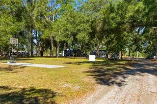 4506 NW 10th St, Bell, FL 32619 - Photo 8