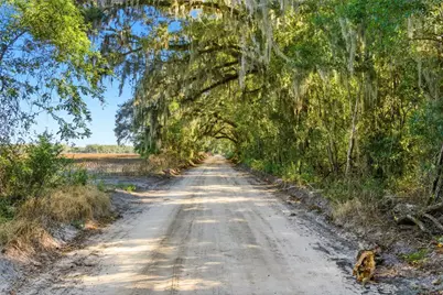 4506 NW 10th Street, Bell, FL 32619 - Photo 10