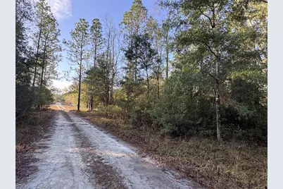 103rd Drive, O'Brien, FL 32071 - Photo 1