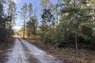 103rd Dr, O'Brien, FL 32071 - Photo 1
