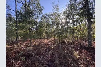 103rd Drive, O'Brien, FL 32071 - Photo 6