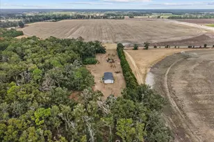 4754 SW 10th St, Bell, FL 32619 - Photo 22