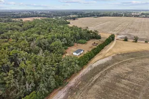 4754 SW 10th St, Bell, FL 32619 - Photo 16