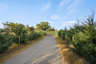 23016 NW 102nd Ave, Alachua, FL 32615 - Photo 6