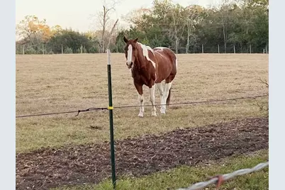 23016 NW 102nd Avenue, Alachua, FL 32615 - Photo 20