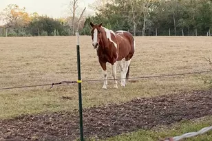 23016 NW 102nd Ave, Alachua, FL 32615 - Photo 20