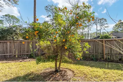 6931 SW 84th Drive, Gainesville, FL 32608 - Photo 32