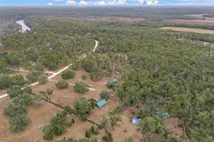 306 NE Castagna Ln, Mayo, FL 32066 - Photo 46