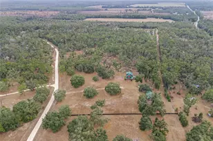 306 NE Castagna Ln, Mayo, FL 32066 - Photo 44