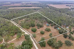 306 NE Castagna Ln, Mayo, FL 32066 - Photo 34