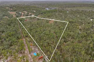 306 NE Castagna Ln, Mayo, FL 32066 - Photo 42