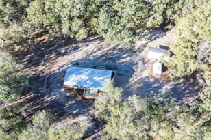 1809 Rosemary Cir, Bell, FL 32619 - Photo 44