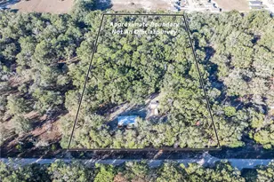 1809 Rosemary Cir, Bell, FL 32619 - Photo 40