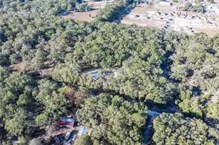 1809 Rosemary Cir, Bell, FL 32619 - Photo 42