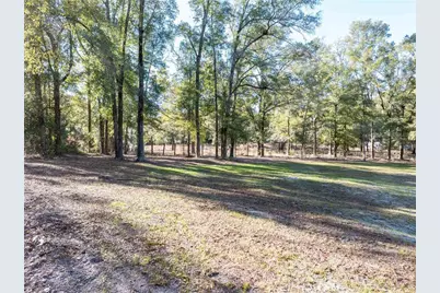 1809 Rosemary Circle, Bell, FL 32619 - Photo 22