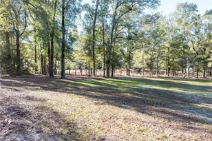 1809 Rosemary Cir, Bell, FL 32619 - Photo 22