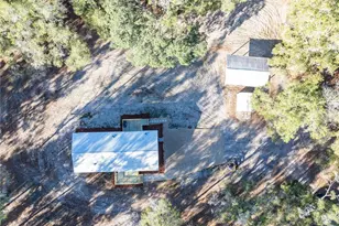 1809 Rosemary Cir, Bell, FL 32619 - Photo 38