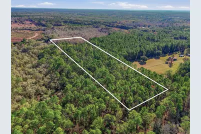 20616 NW 75th Street, Alachua, FL 32615 - Photo 8