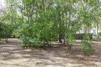 116 SW 123rd Street, Newberry, FL 32669 - Photo 46