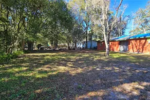 1823 NE 31st Ave, Gainesville, FL 32609 - Photo 6