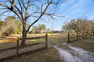 6878 SW 36th Ave, Lake Butler, FL 32054 - Photo 8