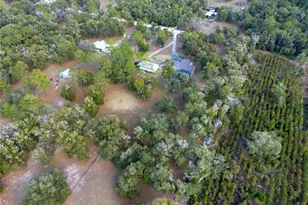 5250 NE 160th Ave, Williston, FL 32696 - Photo 68