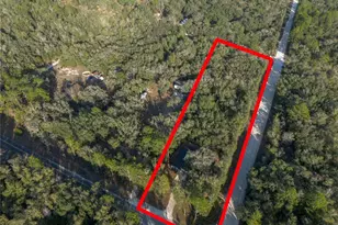 8931 NE 118 Terrace, Bronson, FL 32621 - Photo 48