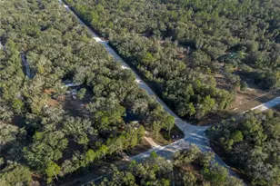 8931 NE 118 Terrace, Bronson, FL 32621 - Photo 50