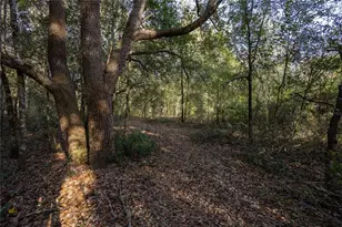 8931 NE 118 Terrace, Bronson, FL 32621 - Photo 44