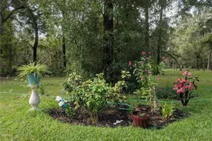 6250 NW 94th Ln, Chiefland, FL 32626 - Photo 72