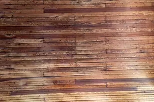 815 NE 145th Avenue Rd, Silver Springs, FL 34488 - Photo 36