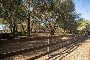 8076 Blazing Star Rd, Melrose, FL 32666 - Photo 4