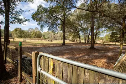 8076 Blazing Star Road, Melrose, FL 32666 - Photo 70