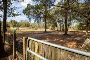 8076 Blazing Star Rd, Melrose, FL 32666 - Photo 70